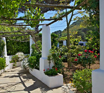 Pergola in bloom Hotel Bellavista