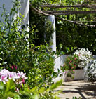 Garden with characteristic colonnade